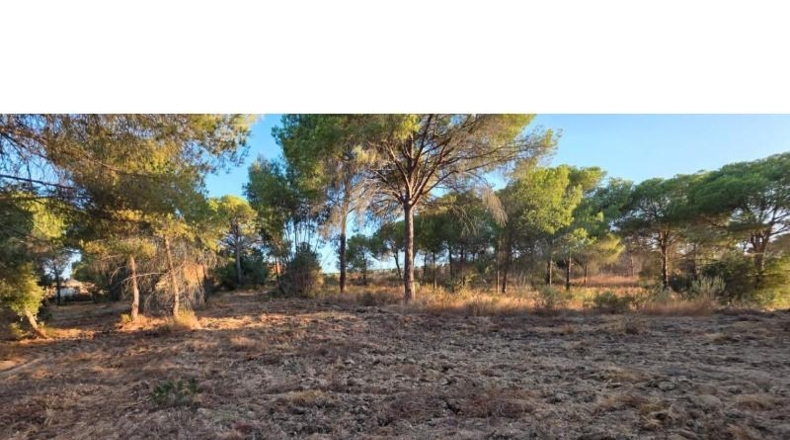 Huelva - Villablanca - 4948m2