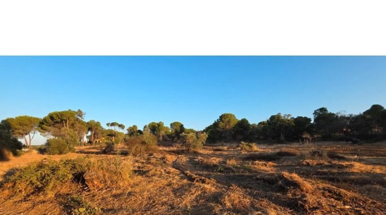 Huelva - Villablanca - 4948m2