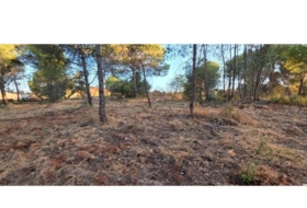 Villablanca 4948&nbsp;m² 