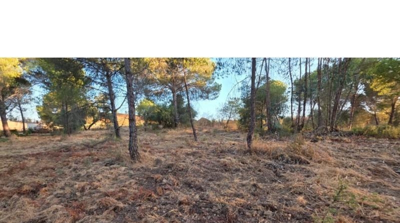 Huelva - Villablanca - 4948m2