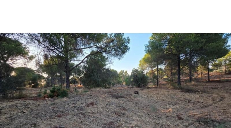 Huelva - Villablanca - 4948m2