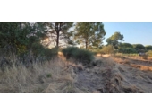 Non-developable land for sale on España, Villablanca, ref: TR408424 photo