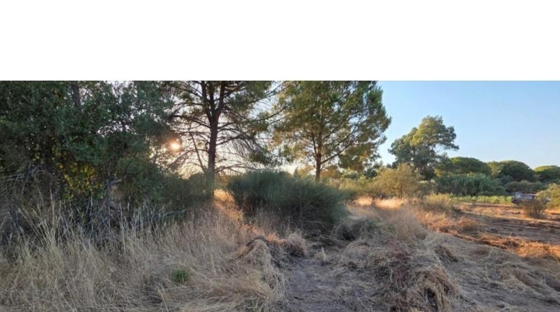 Huelva - Villablanca - 4948m2