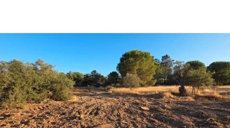Huelva - Villablanca - 4948m2