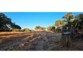 Non-developable land for sale on España, Villablanca, ref: TR408424 photo