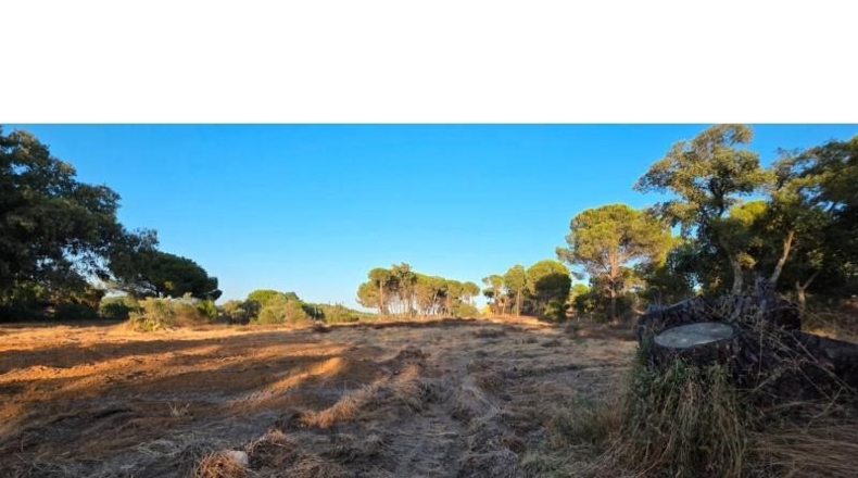 Huelva - Villablanca - 4948m2