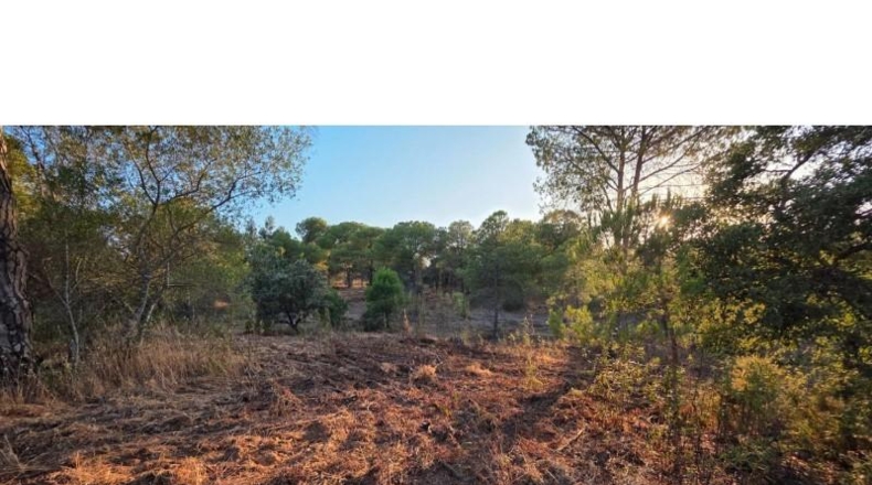 Huelva - Villablanca - 5799m2