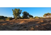 Non-developable land for sale on España, Villablanca, ref: TR408425 photo