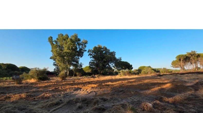 Huelva - Villablanca - 5799m2