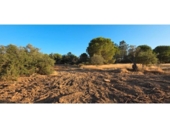 Non-developable land for sale on España, Villablanca, ref: TR408425 photo