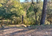 Casa con terreno en venta en la España, Castellnou de Bages, ref: TR318353 foto