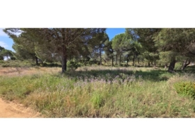 Villablanca 10000&nbsp;m² 