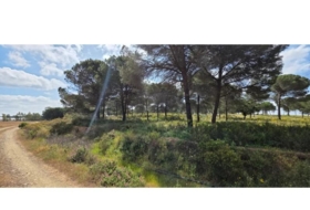 Villablanca 10000&nbsp;m² 
