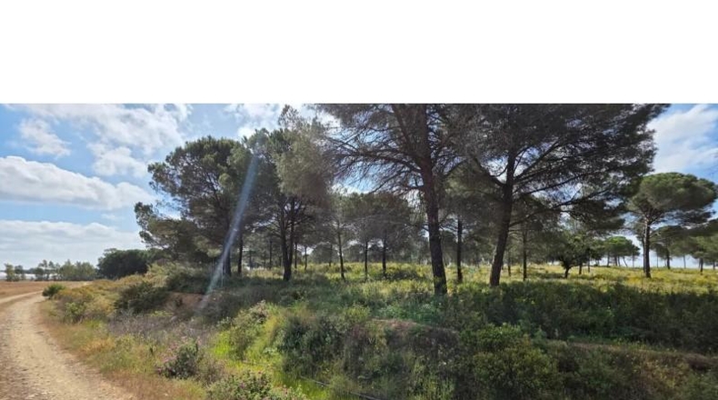 Huelva - Villablanca - 10000m2