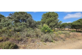 Villablanca 10000&nbsp;m² 