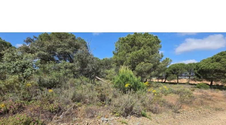Huelva - Villablanca - 10000m2
