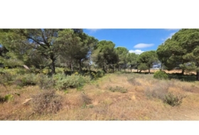 Villablanca 10000&nbsp;m² 