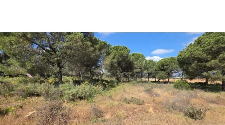 Huelva - Villablanca - 10000m2