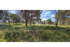 Villablanca 10000&nbsp;m² 