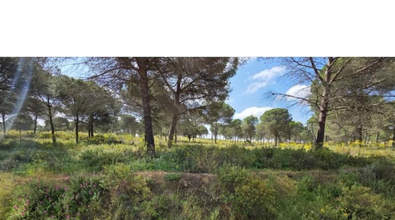 Huelva - Villablanca - 10000m2