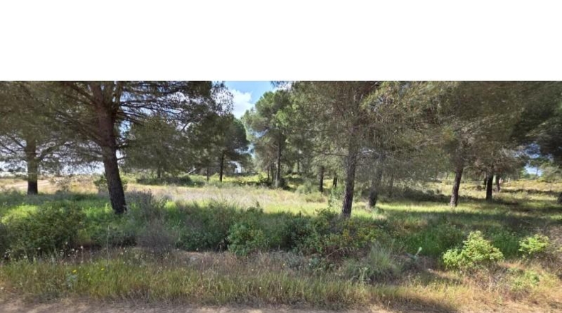 Huelva - Villablanca - 10000m2