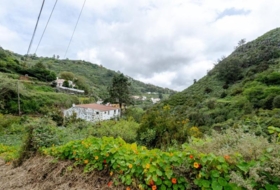 Teror 320&nbsp;m² 