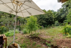 Teror 320&nbsp;m² 