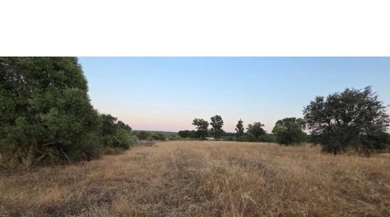Huelva - Villablanca - 11199m2
