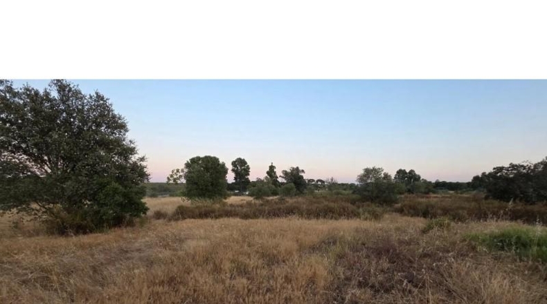 Huelva - Villablanca - 11199m2