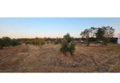 Terreny no urbanitzable en venda a la España, Villablanca, ref.: TR408453 foto