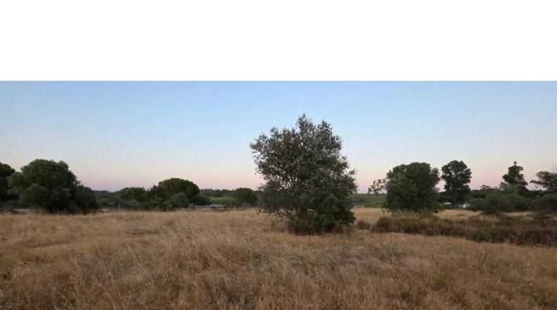 Huelva - Villablanca - 11199m2