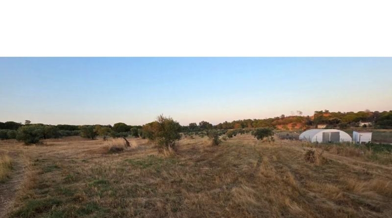 Huelva - Villablanca - 11199m2