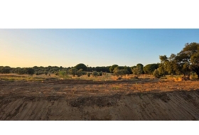 Villablanca 7520&nbsp;m² 