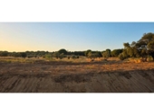 Non-developable land for sale on España, Villablanca, ref: TR408470 photo