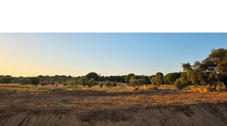 Huelva - Villablanca - 7520m2