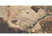 Non-developable land for sale on España, Villablanca, ref: TR408470 photo