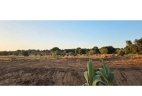 Villablanca 7520&nbsp;m² 