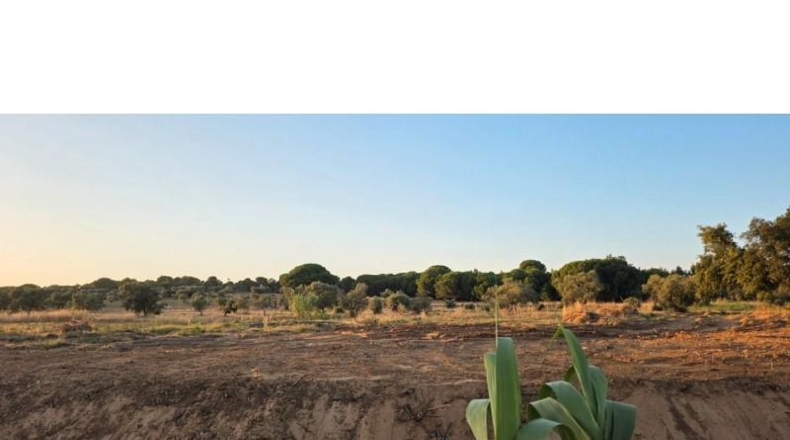 Huelva - Villablanca - 7520m2
