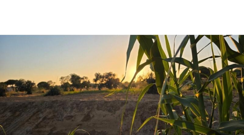 Huelva - Villablanca - 7520m2