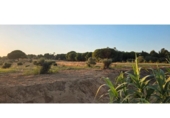 Non-developable land for sale on España, Villablanca, ref: TR408470 photo