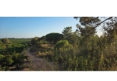 Terreno no urbanizable en venta en la España, Villablanca, ref: TR408471 foto