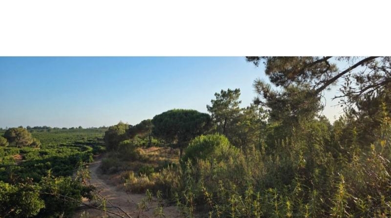 Huelva - Villablanca - 40958m2