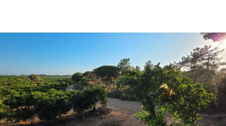 Huelva - Villablanca - 40958m2
