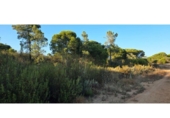 Terreno no urbanizable en venta en la España, Villablanca, ref: TR408471 foto