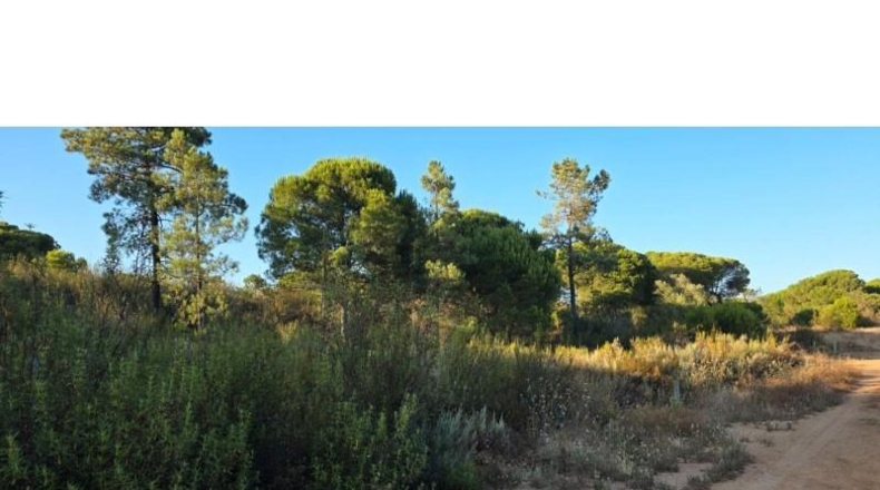 Huelva - Villablanca - 40958m2