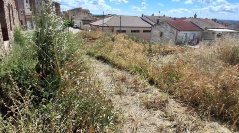 Navarre - Milagro - 350m2