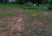 House with land for sale on España, Castellnou de Bages, ref: TR301978 photo
