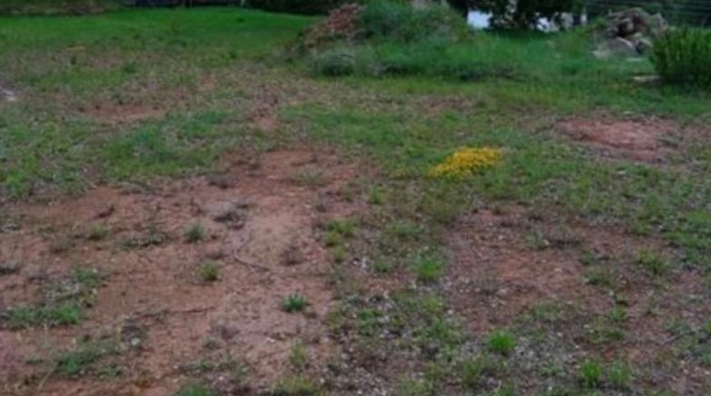 Barcelona - Castellnou de Bages - 1500m2