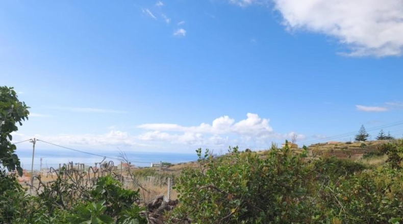 Santa Cruz de Tenerife - Candelaria - 222m2