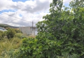 Sòl urbà en venda a la España, Candelaria, ref.: TR408498 foto